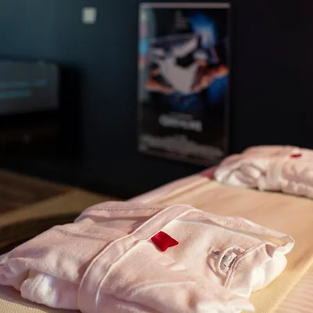 Cinema De Gamme Avec Balneotherapie Apartman Nancy